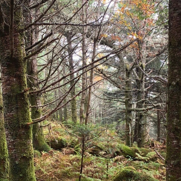 Meet your Posher, Marie - Picture 1 of 1